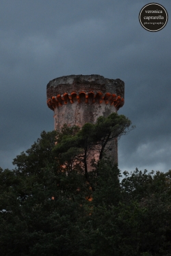 Tower, agosto 2015
